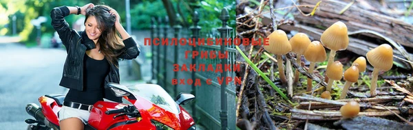 скорость Корсаков