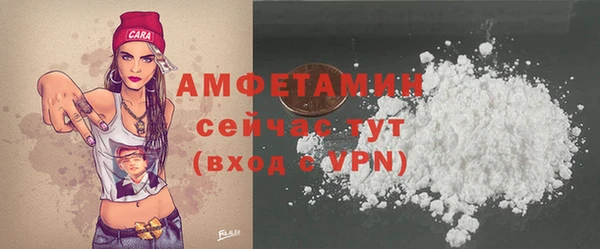винт Губаха